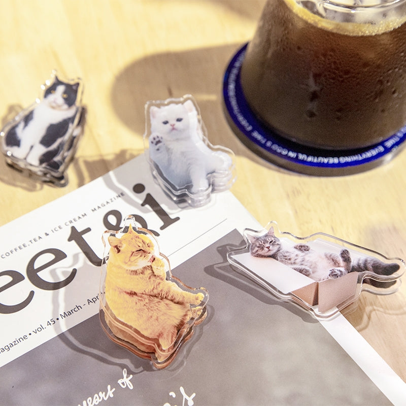 Adorable Cat Acrylic Clips b1