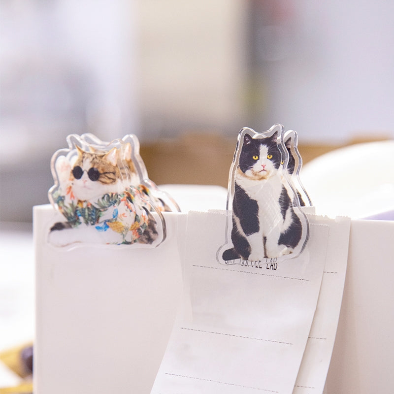 Adorable Cat Acrylic Clips b4