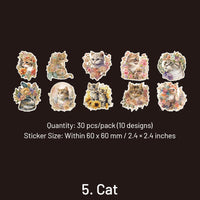 5. Chat