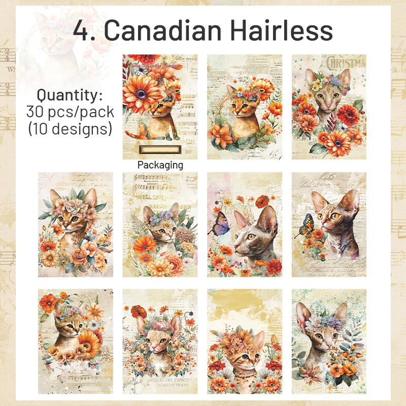 Cat and Flower Scrapbook Paper sku-4