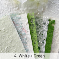 4. White + Green
