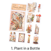 1. Planta numa Garrafa