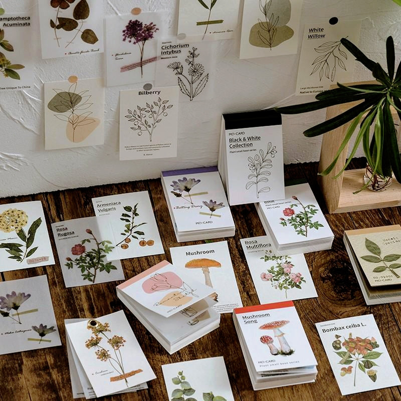 Simple Botanical Decorative Note Paper a