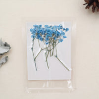 2. Bleu