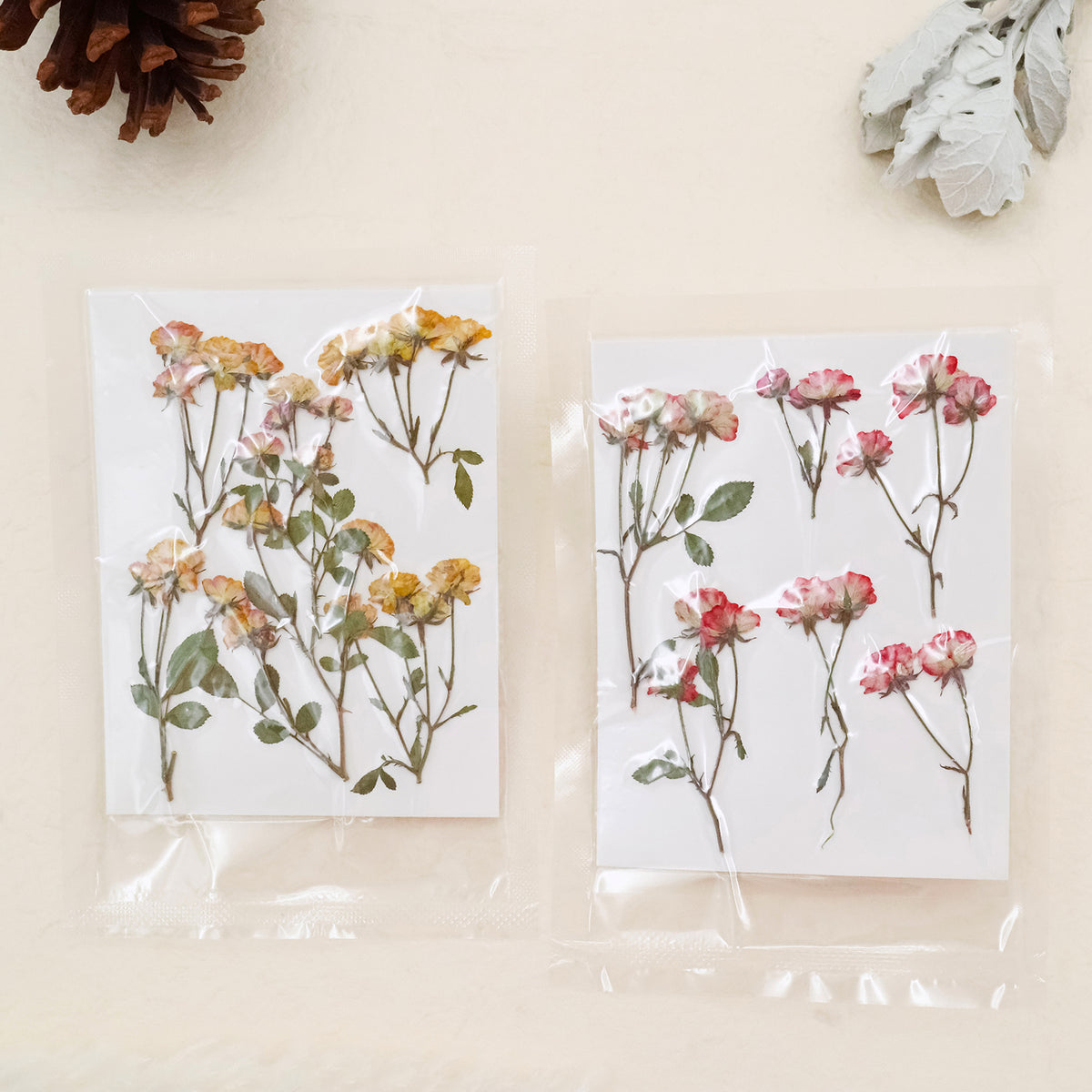 Stamprints Dried Pressed Spray Roses-1