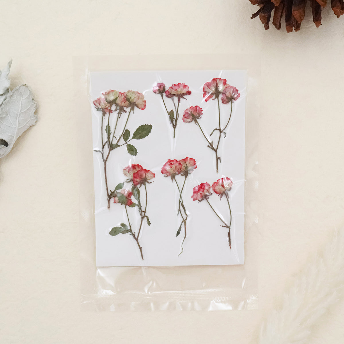 Stamprints Dried Pressed Spray Roses-5
