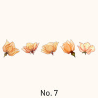 7. Champagne Dagboek