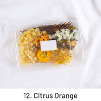 12. 시트러스 오렌지