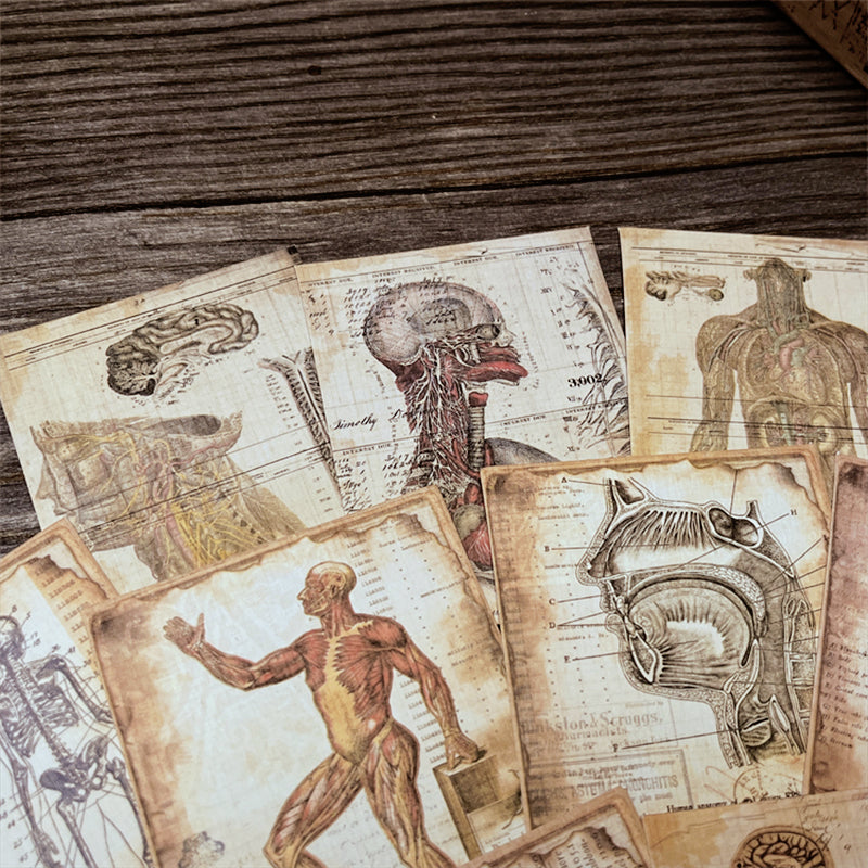 Dark Human Anatomy Junk Journal Paper c3