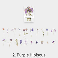 2. Purple Hibiscus
